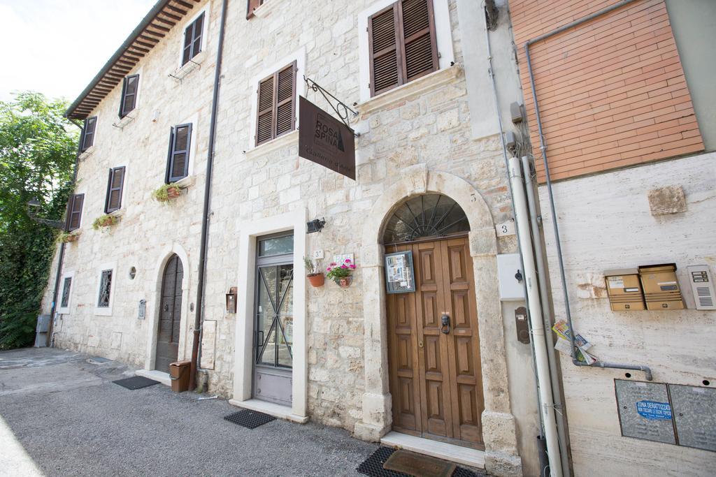 B&B Rosaspina Ascoli Piceno Exterior foto